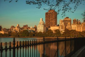 Buildings in New York City