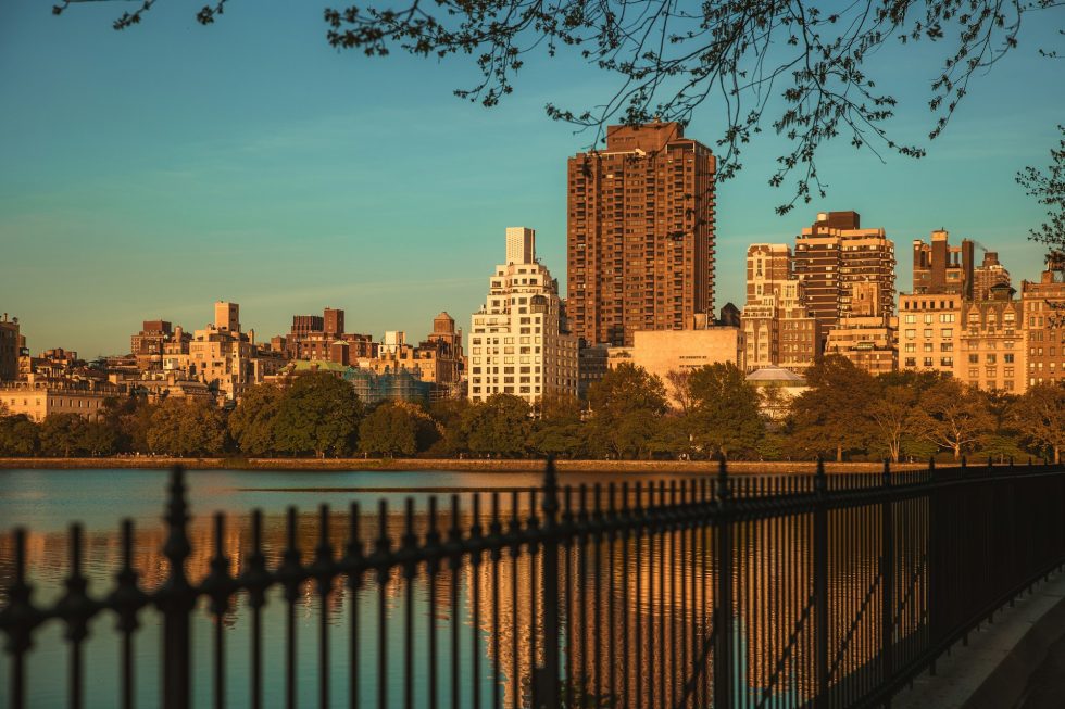 Buildings in New York City
